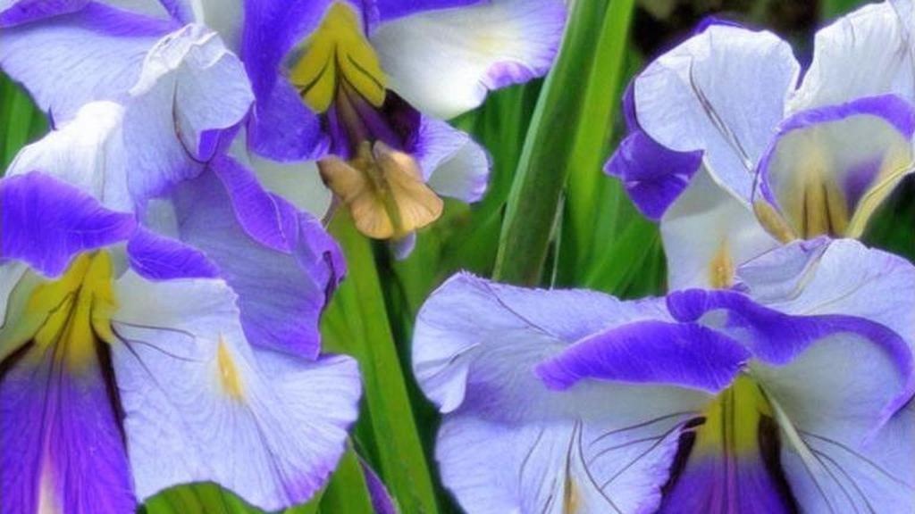 Гостинг: почему люди исчезают без слова и как это влияет на психику