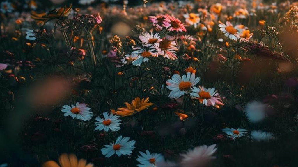 Шлепки из любви: миф или реальность?